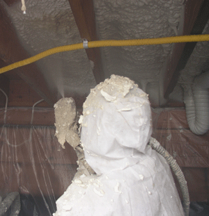Rockford IL crawl space insulation